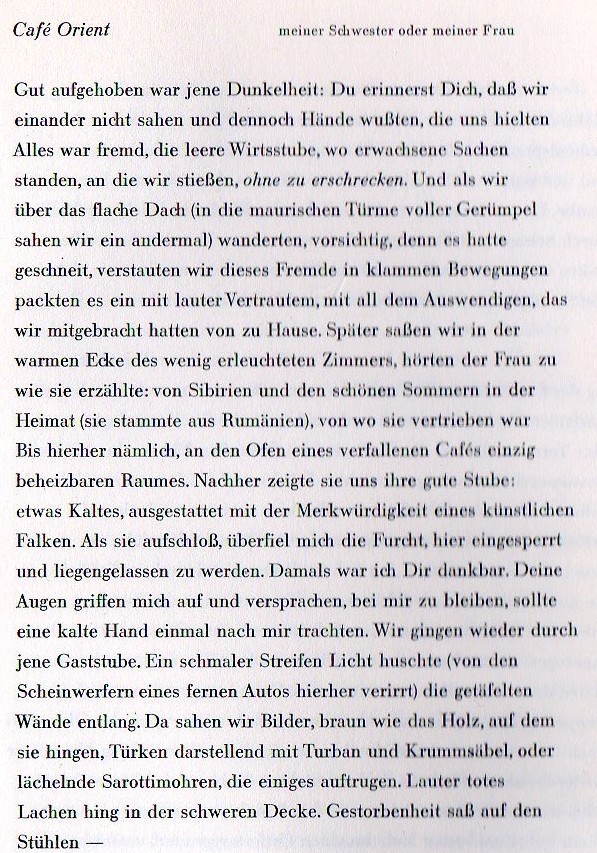 leisegang 1